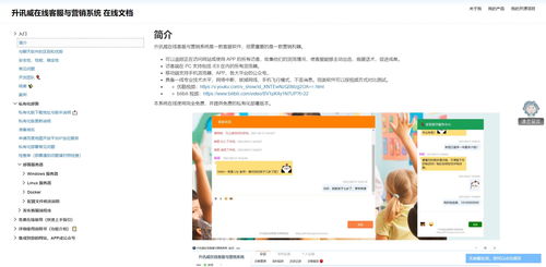 從0到1 一位程序員用免費(fèi)在線客服系統(tǒng)趟出的推廣之路